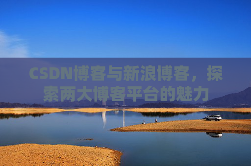 CSDN博客与新浪博客，探索两大博客平台的魅力